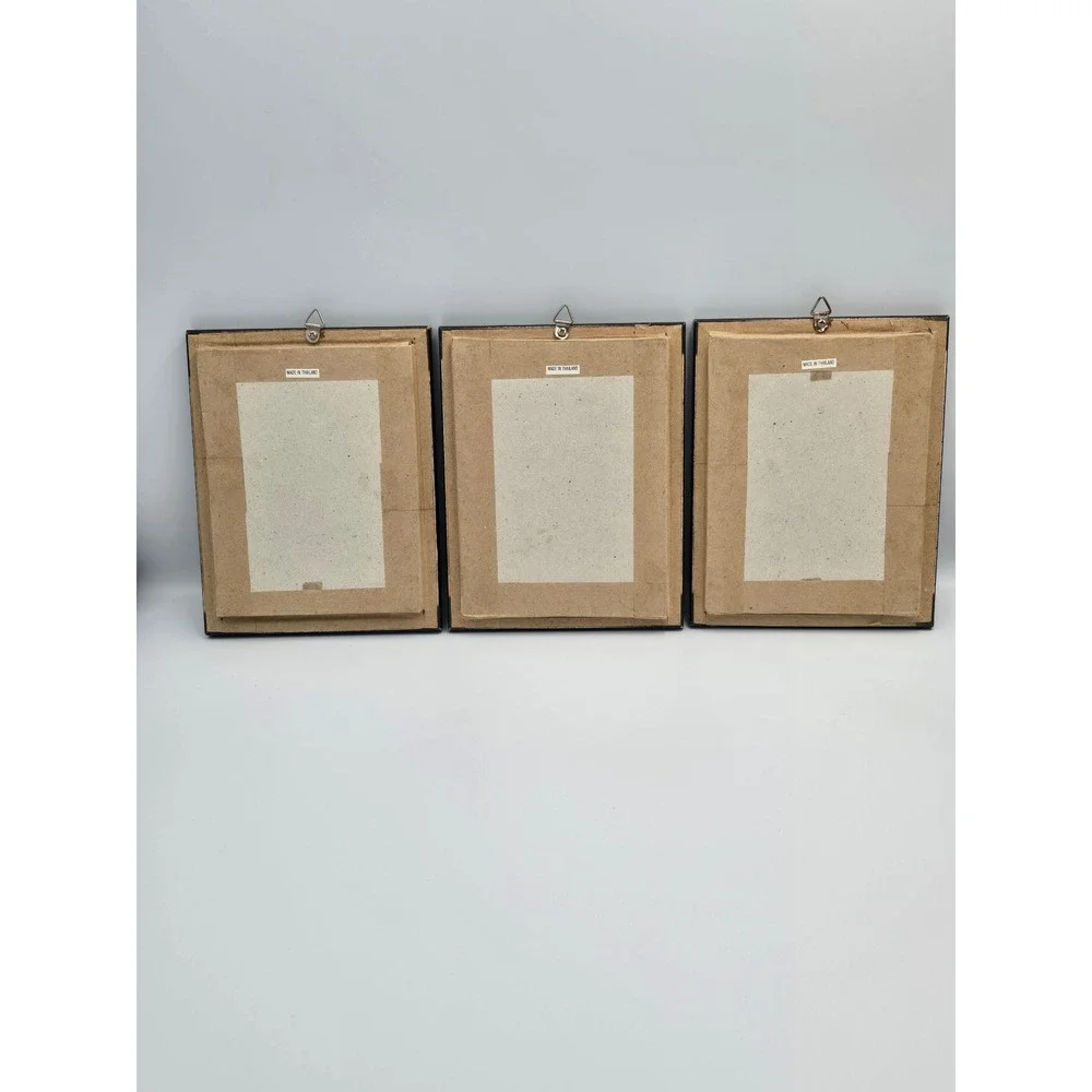 Set of 3 Framed Butterfly Art Collection Common Tiger Common Rose Lime Butterfly